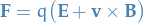 \begin{equation*}
  \mathbf{F} = q \big( \mathbf{E} + \mathbf{v} \times \mathbf{B} \big)
\end{equation*}
