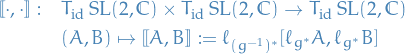 \begin{equation*}
\begin{split}
  [\![ \cdot, \cdot ]\!]: \quad &amp; T_{\mathrm{id}} \ \mathrm{SL}(2, \mathbb{C}) \times T_{\mathrm{id}} \ \mathrm{SL}(2, \mathbb{C}) \to T_{\mathrm{id}} \ \mathrm{SL}(2, \mathbb{C}) \\
  &amp; (A, B) \mapsto [\![ A, B ]\!] := \ell_{(g^{-1})^*} \comm{\ell_{g^*} A}{\ell_{g^*} B}
\end{split}
\end{equation*}
