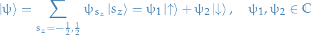 \begin{equation*}
\ket{\psi} = \sum_{s_z = -\frac{1}{2}, \frac{1}{2}} \psi_{s_z} \ket{s_z} = \psi_1 \ket{\uparrow} + \psi_2 \ket{\downarrow}, \quad \psi_1, \psi_2 \in \mathbb{C}
\end{equation*}
