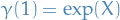 \begin{equation*}
\gamma(1) = \exp (X)
\end{equation*}
