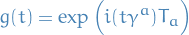 \begin{equation*}
g(t) = \exp \Big( i (t \gamma^a) T_a \Big)
\end{equation*}
