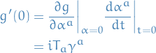 \begin{equation*}
\begin{split}
  g'(0) &amp;= \frac{\partial g}{\partial \alpha^a}\bigg|_{\alpha = 0} \frac{d \alpha^a}{dt} \bigg|_{t = 0} \\
  &amp;= i T_a \gamma^a
\end{split}
\end{equation*}
