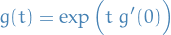 \begin{equation*}
g(t) = \exp \Big( t \ g'(0) \Big)
\end{equation*}
