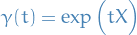 \begin{equation*}
\gamma(t) = \exp \Big( t X \Big)
\end{equation*}
