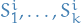 $S_1^i, \dots, S_k^i$